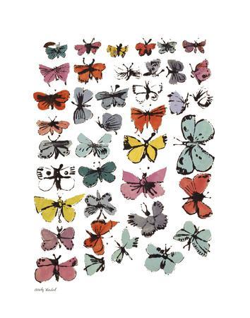 Butterflies, 1955 (many/varied colors) - Wall Art Print, 11x14 Butterflies, 1955 (many/varied colors) - Wall Art Print, 11x14