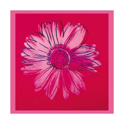 Daisy, c.1982 (Crimson and Pink) - Giclee Print, 24x24 Daisy, c.1982 (Crimson and Pink) - Giclee Print, 24x24
